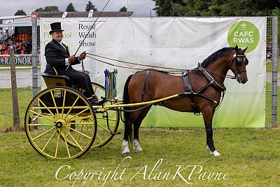 RWS2024BDS_Champs-69.jpg